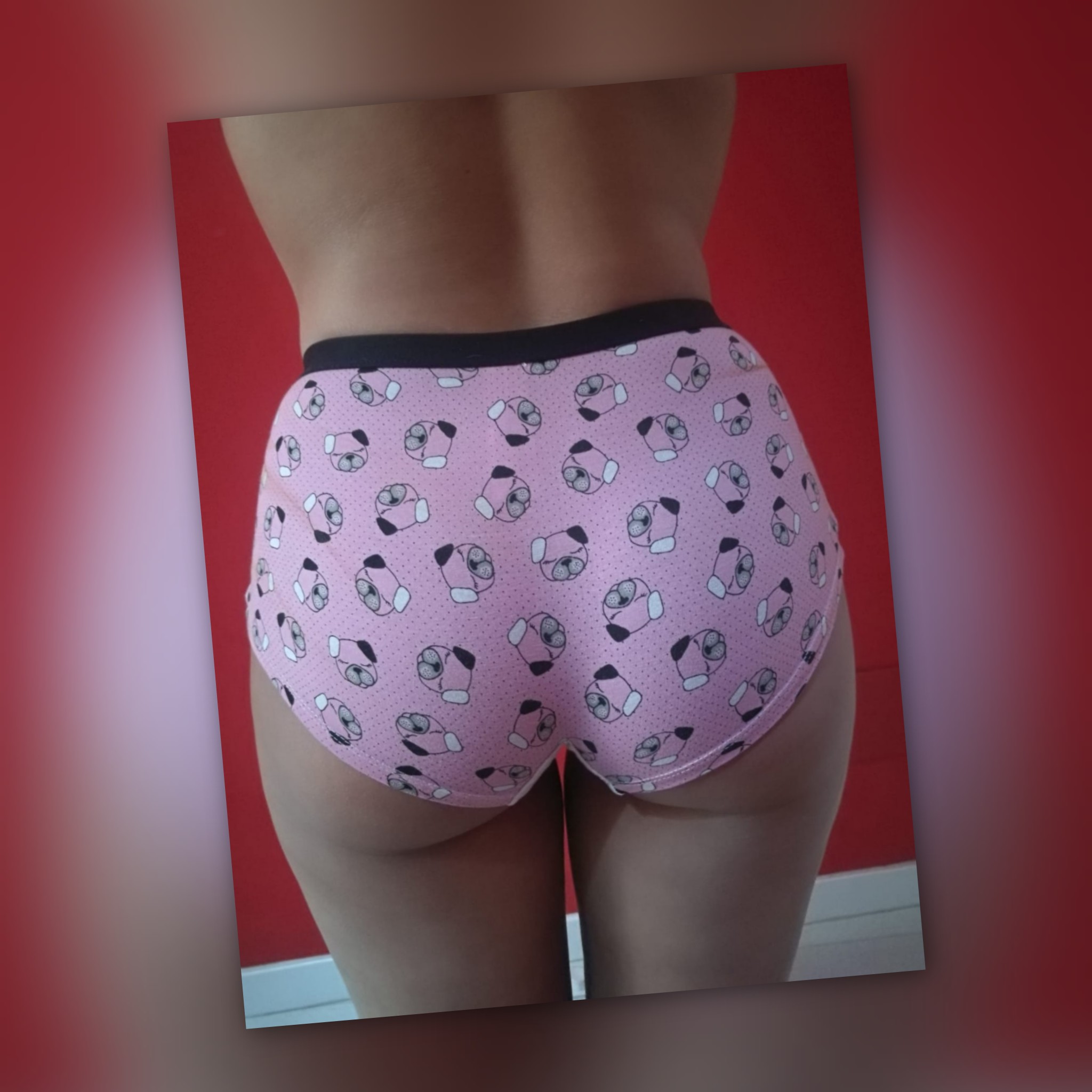 Braguita de perro